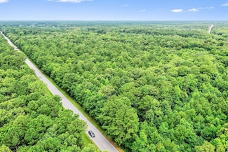 420 Buster's Paradise, Cordesville, SC 29434
