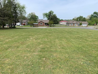 Lot 9 Tabitha Dr, White Pine, TN 37890