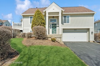 1424 New Haven Dr, Cary, IL 60013