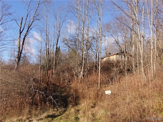5338 Bryant Hill Rd, Ellicottville, NY 14731