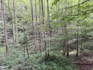 67 acres Bryant Hollow Way, Sevierville, TN 37876