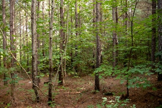 0 Rock House Rd, Marion, NC 28752