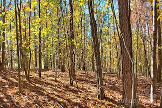 0 Creekside Cir Unit 113, Rutherfordton, NC 28139