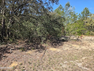 0 Fisher Trace Run, Ocklawaha, FL 32179