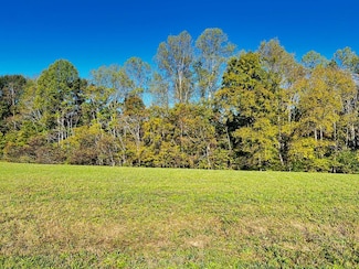 Lot 1 Goff Ridge Rd, Baxter, TN 38544