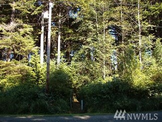 12 Coral Ln, Copalis Beach, WA 98535