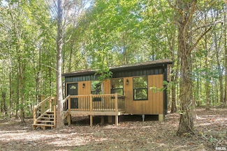 0 Winstead Rd, Alto Pass Precinct, IL 62920