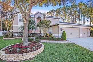 4153 Rotherham Ct, Palm Harbor, FL 34685