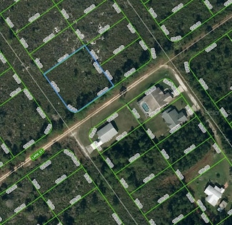 601 Bottlebrush Ave, Lake Placid, FL 33852