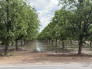 4695 Snow Rd, Las Cruces, NM 88005