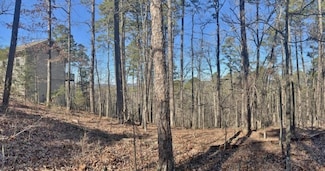 46 Mariposa Way, Hot Springs Village, AR 71909