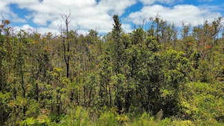 0 Omeka Rd Unit 721878, Volcano, HI 96785