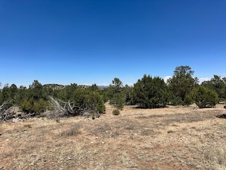 1 Wilderness Ln Unit 101, Datil, NM 87821