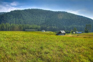 344 Little Beaver Creek Rd, Trout Creek, MT 59874