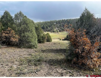 64 Bradley Place, Pagosa Springs, CO 81147