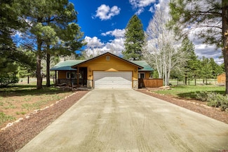369 Beaver Cir, Pagosa Springs, CO 81147