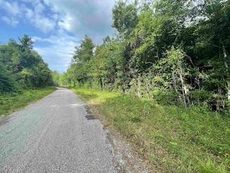Tract 3 County Road 786, Buna, TX 77612
