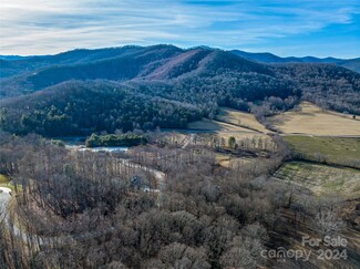 62 Powder Springs Trail Unit 2, Arden, NC 28704