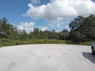TBD SW 98 Place, Ocala, FL 34476