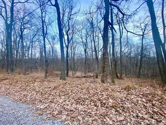 Lot 168 Alpine Rd, Jenner Township, PA 15531