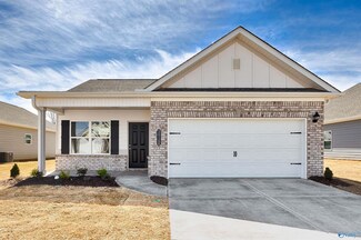 151 Story Ray Dr, New Market, AL 35761