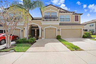 11521 Crowned Sparrow Ln, Tampa, FL 33626