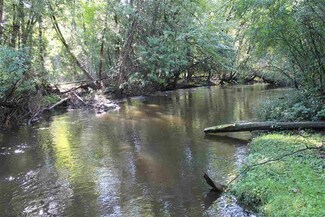 TBD Thorsen River Dr, East Jordan, MI 49727