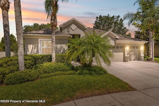 3243 Stonegate Falls Dr, Land O Lakes, FL 34638