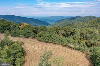 0 Shenandoah Mountain Rd Unit WVHD2001100, Mathias, WV 26812