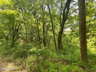 Lot 61 High St, Sevierville, TN 37876