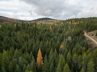 TBD Schlegel Ranch Rd, Ione, WA 99139