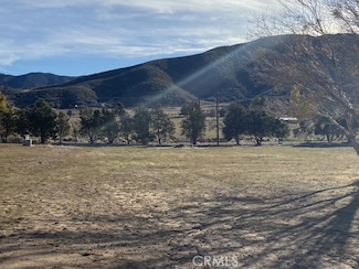 11039 Elizabeth Lake Rd, Leona Valley, CA 93551