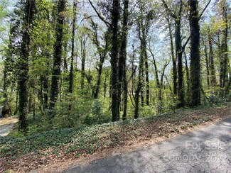 00 Carolina Dr, Tryon, NC 28782