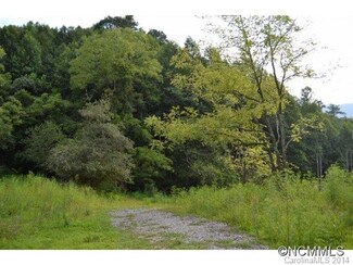 5 Hidden Cove Trail Unit 5, Marshall, NC 28753
