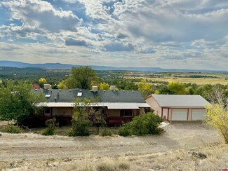 613 Pinon Hills Cir, Arboles, CO 81121
