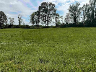 LOT 29 Catfish Ln, Crump, TN 38327