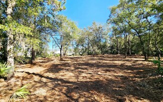 TBD Violet Cir, Other, FL 32148
