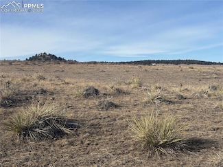 16505 Warriors Path Dr, Peyton, CO 80831