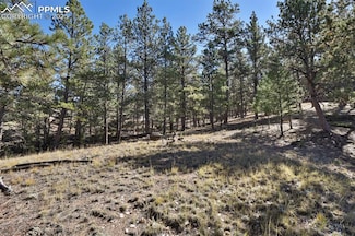 504 Bear Mountain Rd, Florissant, CO 80816