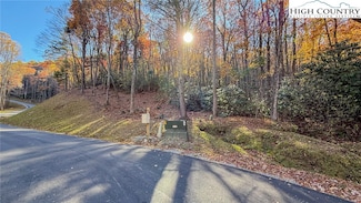 TBD lot 170 Wildcat Wilderness Rd, Deep Gap, NC 28618