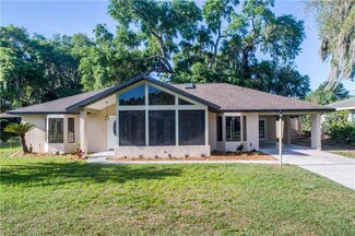 17 Live Oak Ave, Yalaha, FL 34797