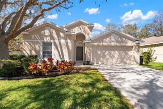 3021 Gem Luster Ct, Valrico, FL 33594