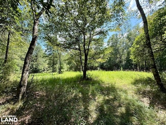 0 Ernest Everett Rd, Vinegar Bend, AL 36584