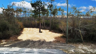 2072 Stone Mill Creek Rd, Wewahitchka, FL 32465