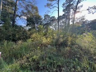 Lot 2877 Persimmon Ave, Ocean Springs, MS 39564