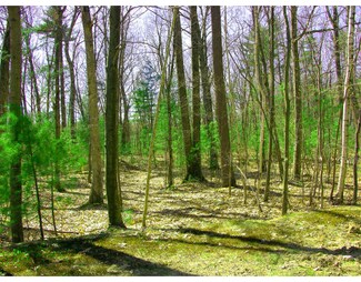 0 Ann Lee Rd, Harvard, MA 01451