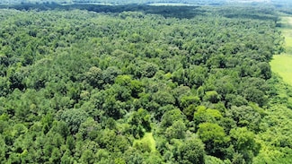 + - 58 Acres Unit Holmes County MS, Lexington, MS 39095