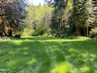 T/L 1000 Hamer Rd, Logsden, OR 97380