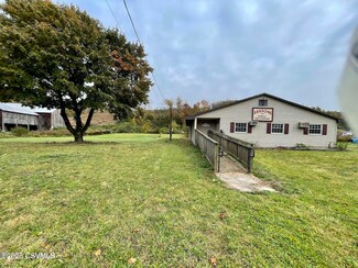 6 Arc Rd, Orangeville, PA 17859