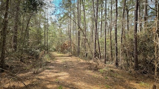 0 Tbd Fm 1725, Coldspring, TX 77328